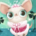 Hollywood Fashion Pets 10 hollywood fashion pets