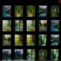 memorize nature 6 memorize nature