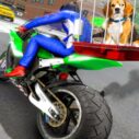 Motorcycle Pet Delivery 6 motorcycle pet delivery