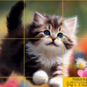 Puzzle Sliding Kittens 5 puzzle sliding kittens 1