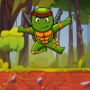 Turtle Ninja 9 turtle ninja